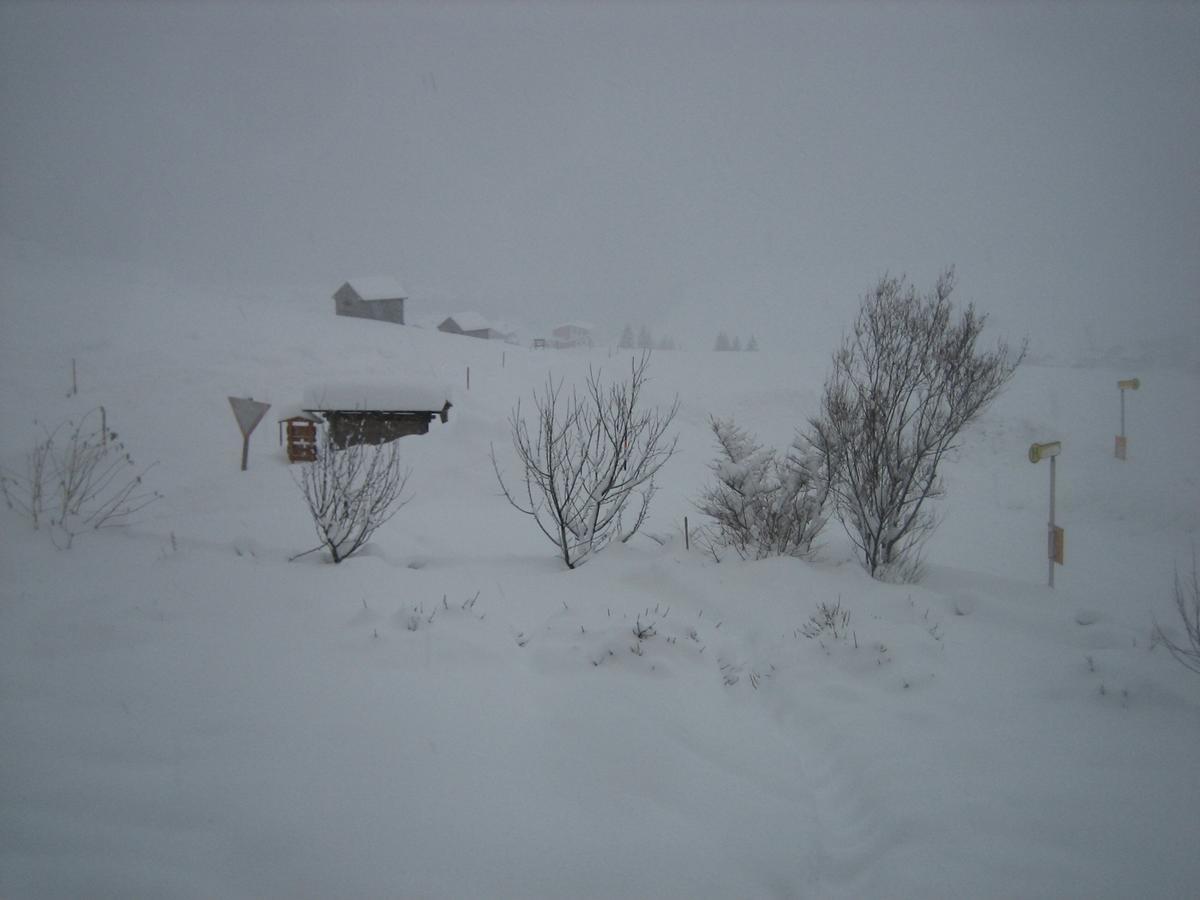 Haus Ursula Daire Kals-am Großglockner Dış mekan fotoğraf