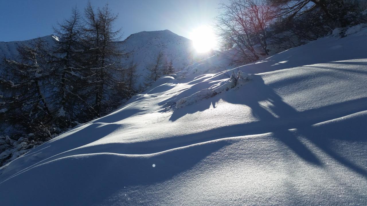 Haus Ursula Daire Kals-am Großglockner Dış mekan fotoğraf