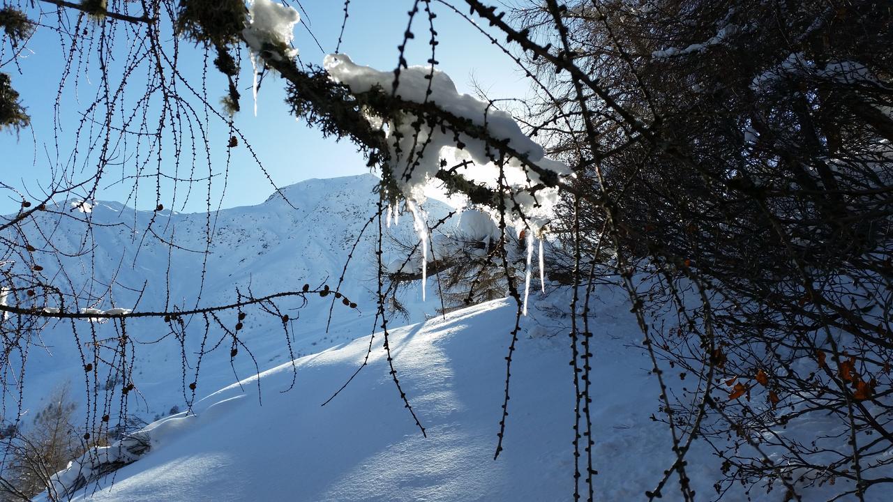Haus Ursula Daire Kals-am Großglockner Dış mekan fotoğraf