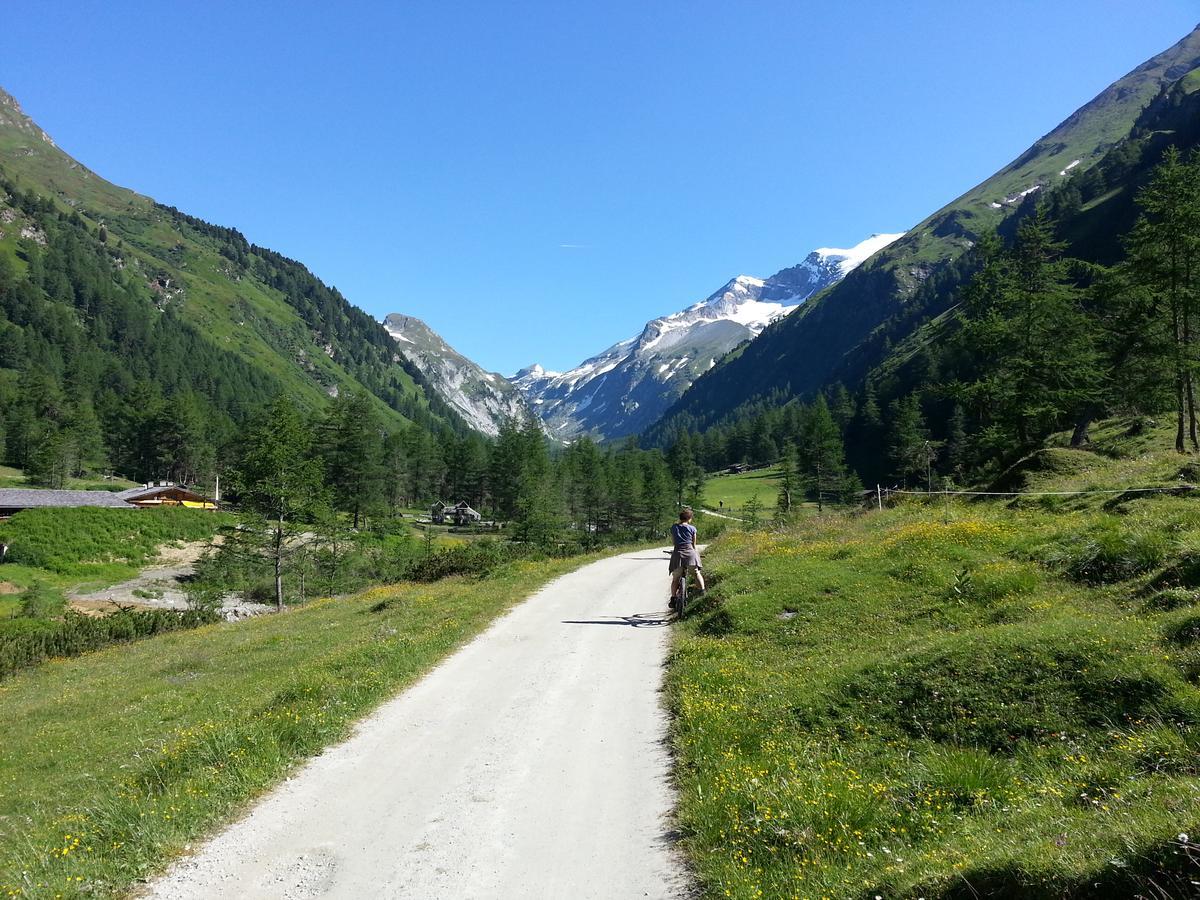 Haus Ursula Daire Kals-am Großglockner Dış mekan fotoğraf