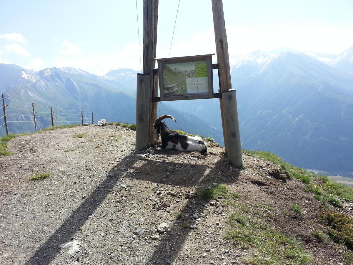 Haus Ursula Daire Kals-am Großglockner Dış mekan fotoğraf